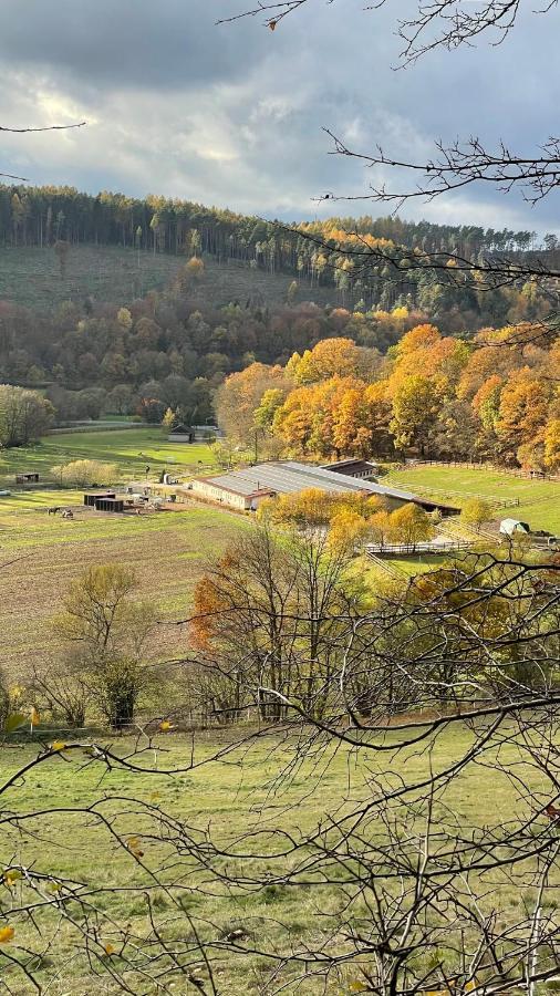 Ferienapartments Reitanlage Schenksolz Schenklengsfeld Kültér fotó
